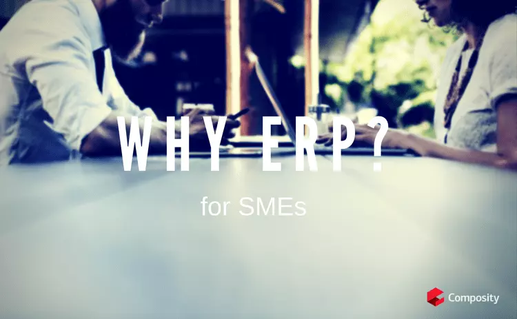 The importance of ERP for SMEs